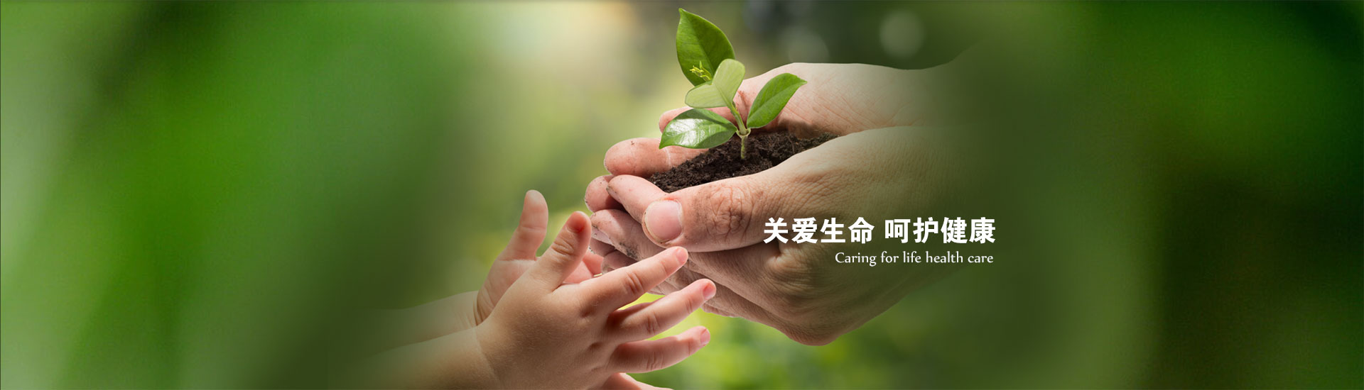 山東德福涂料有限公司